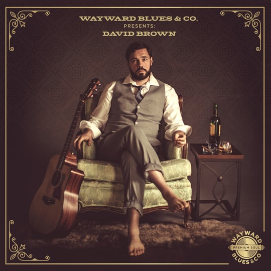 Wayward Blues & Co. - Singing Guitarist in Fayetteville, NC