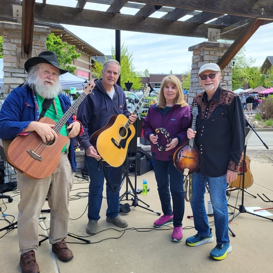 Mississippi Crossing Band - Acoustic Band in St Louis, MO