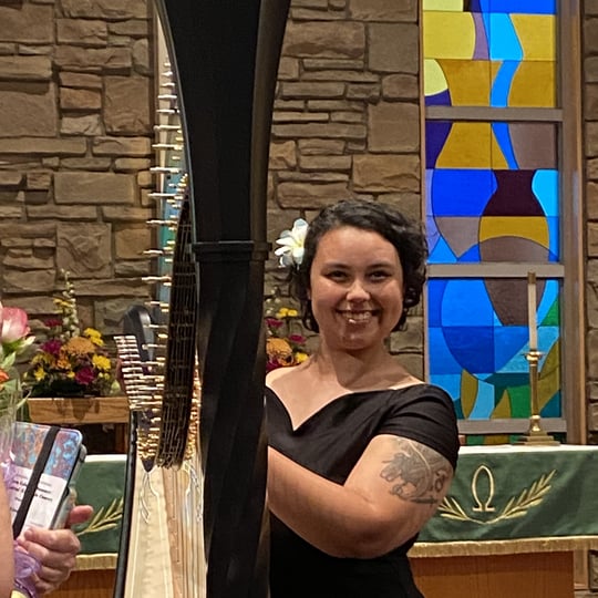 Background Music for Private Events - Harpist in Longmont, CO