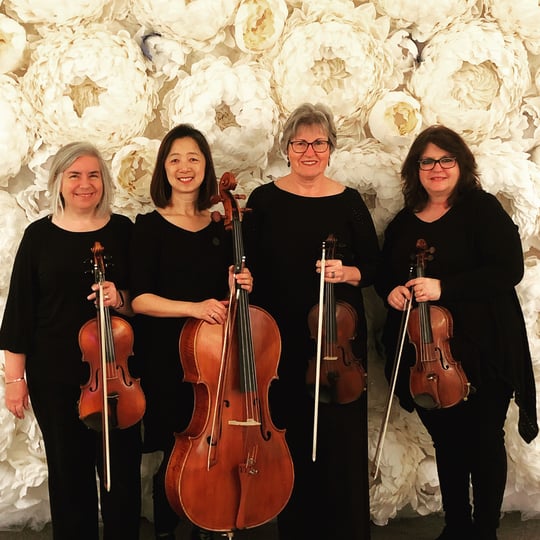 The Camarota String Quartet - String Quartet / Wedding Musicians in West Chester, PA