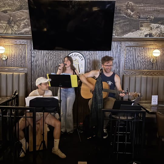 Patchwork the Band - Acoustic Band in Arlington, VA