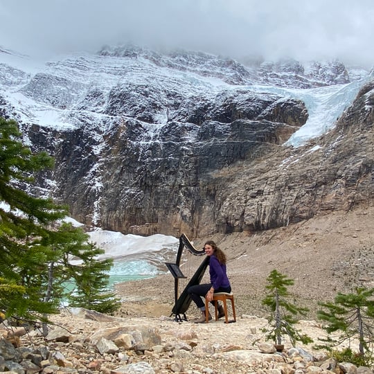 Wild Harpist - Harpist / Celtic Music in Calgary, AB