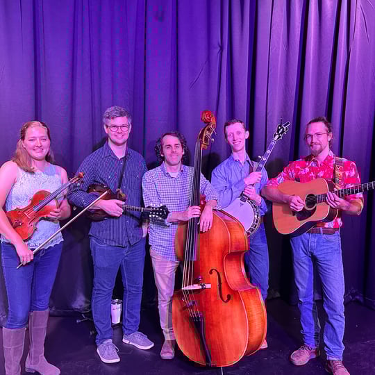 Spring Chickens - Bluegrass Band in Baton Rouge, LA