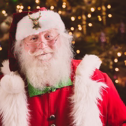 Santa Vern - Santa Claus in Minneapolis, MN