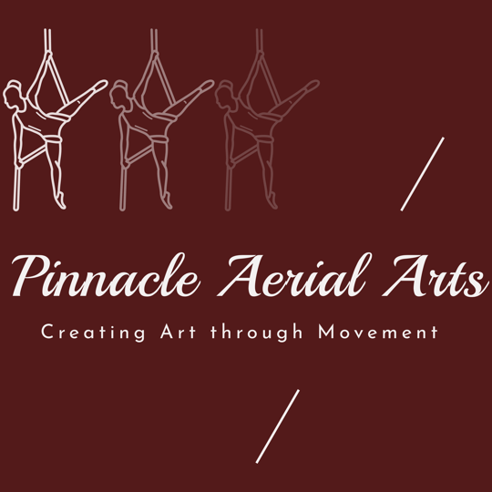 Pinnacle Aerial Arts - Aerialist / Circus and Acrobatic in Burnsville, MN