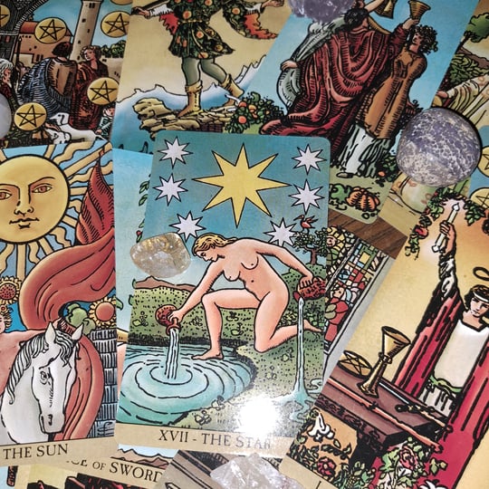 Seahorse & Starlight Tarot - Tarot Reader in Washington, DC