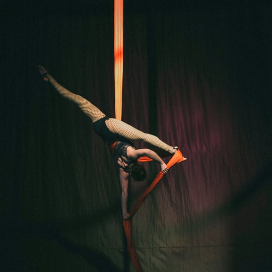 Hayley Larson Aerialist - Aerialist / Circus and Acrobatic in Chicago, IL