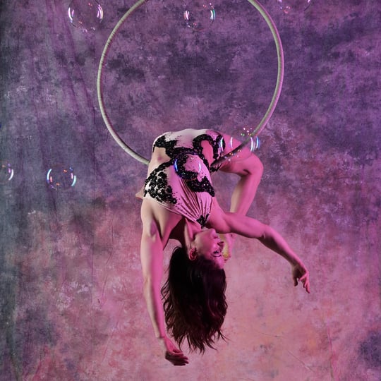 Beloved Little Circus - Aerialist / Circus and Acrobatic in Walnut Creek, CA