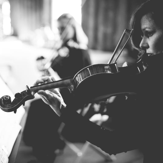 Elegancia Violin Duet - Violinist in Kansas City, MO