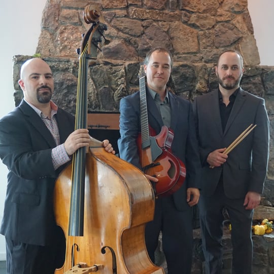 Limited Liability Trio - Jazz Band in White Plains, NY