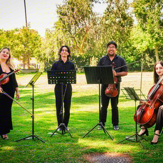 Wedding Serenade Wedding and Event Music - String Quartet / Classical Music in Chicago, IL