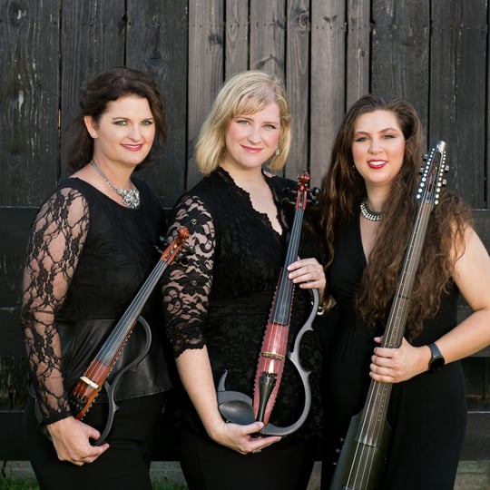 Electria - String Quartet / Classical Ensemble in Louisville, KY