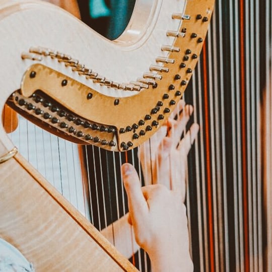 Freelance Harpist - Harpist in Salt Lake City, UT