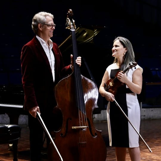 ArtBeat : Fun, entertaining and vibrant! - Interactive Performer / Violinist in Lubbock, TX
