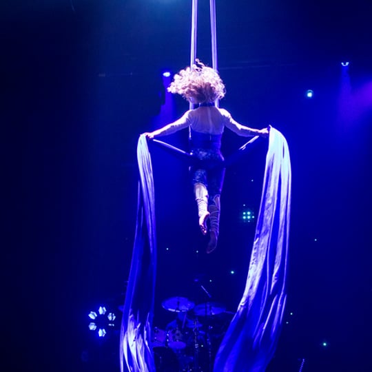 Aerial Brina Entertainment - Aerialist / Circus and Acrobatic in Peoria, IL