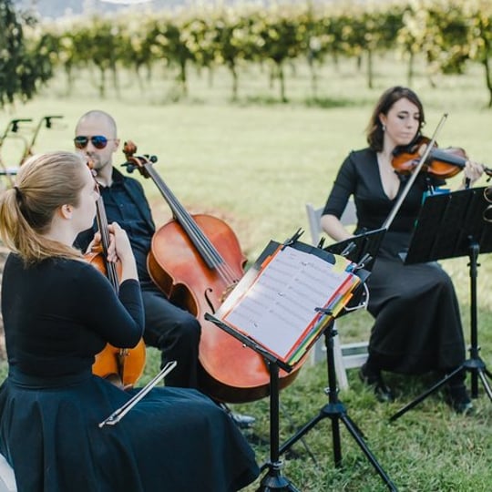 Melodious Strings Quartet - String Quartet in Woodbridge, VA