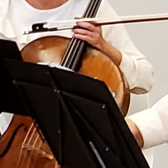 Cantabile String Quartet - String Quartet in Princeton, NJ