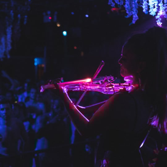 7th House Strings - Violinist / Wedding Entertainment in New York City, NY