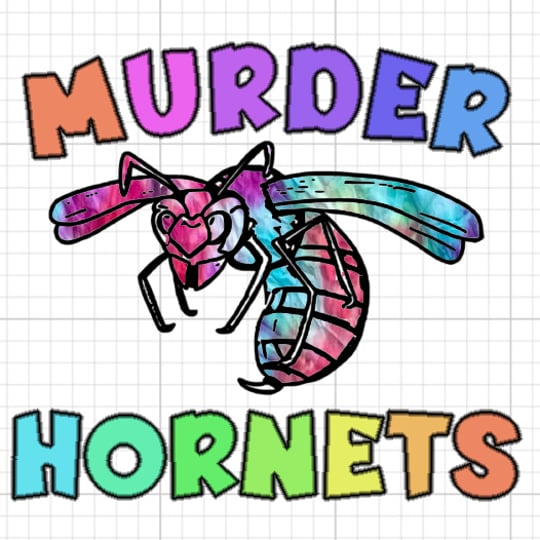 The Murder Hornets - 1970s Era Entertainment in Rexford, NY