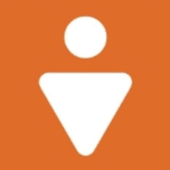 Big Shoulders Digital Video Productions - Video Services / Drone Photographer in Chicago, IL