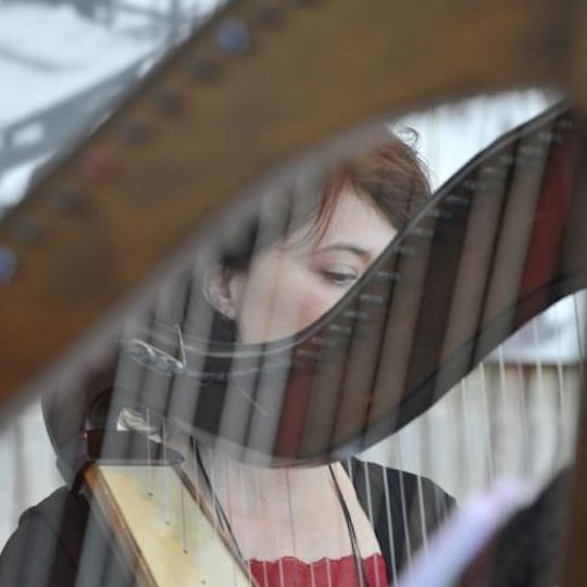 Harpist, Kathryn Braswell - Harpist / Celtic Music in Jacksonville, FL