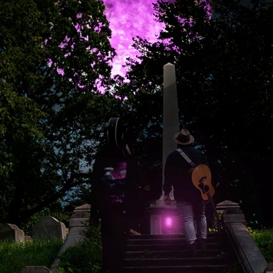 Purple Light - Acoustic Band in Syracuse, NY