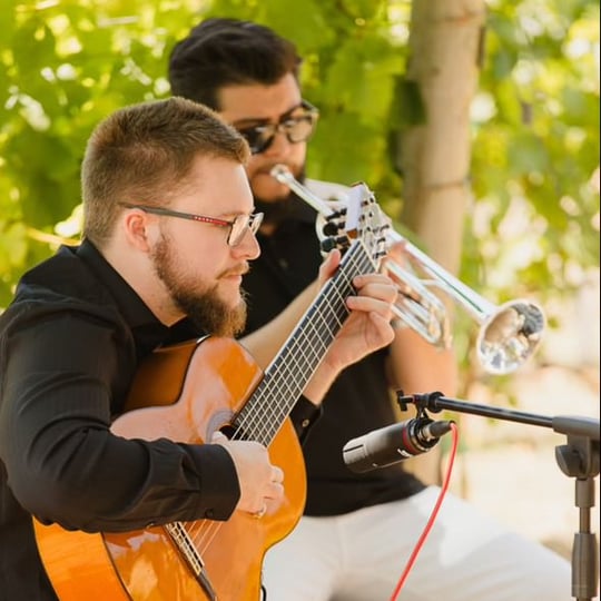 Duo Resonare - Classical Duo / Classical Ensemble in Live Oak, CA