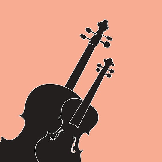 Let's Du-Et - Wedding Band / Classical Duo in San Antonio, TX