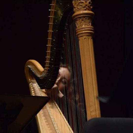 Rose Harp Studio - Harpist / Celtic Music in Little Rock, AR