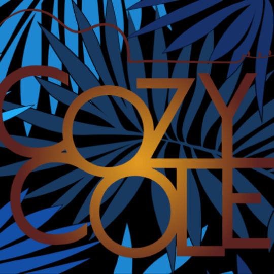 Cozy Cole Solo Bossa Nova Guitarist - Guitarist in New York City, NY