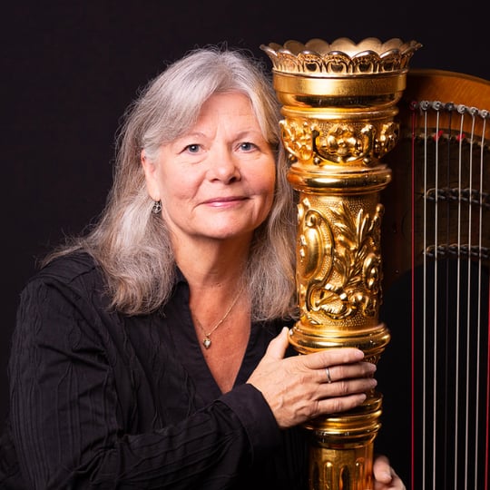 Heartstrings - Harpist in Sarasota, FL