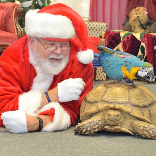 S.C. Consulting - Santa Claus / Holiday Party Entertainment in Beloit, WI