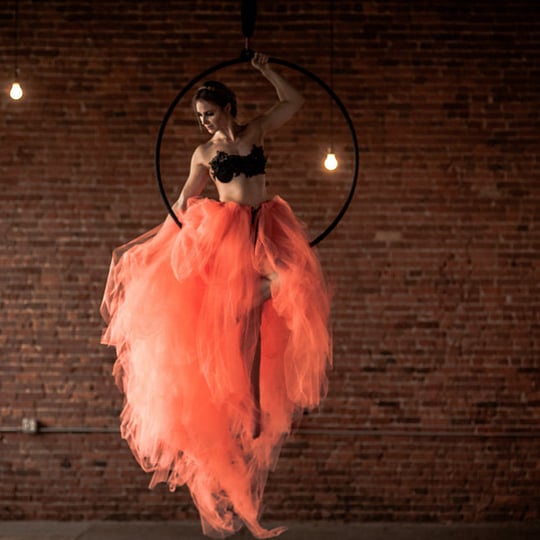 Inverted Aerial - Aerialist / Circus and Acrobatic in New York City, NY