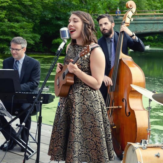 Alex Levin Music - Live Entertainment for Events - Jazz Band in New York City, NY