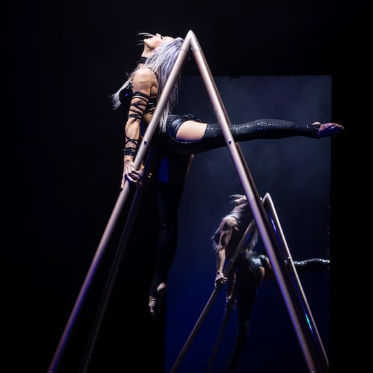 One of a Kind Pyramid Apparatus - Circus Entertainment / Circus and Acrobatic in San Francisco, CA