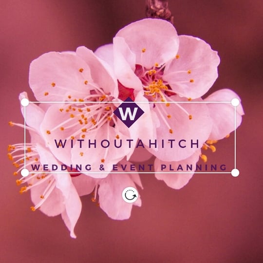 WithoutaHitch - Event Planner in Renton, WA