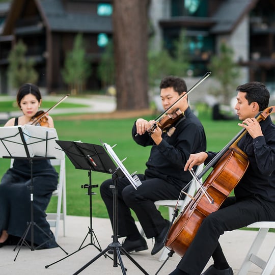 Blue Forest Strings - Violinist / Classical Ensemble in Birmingham, AL