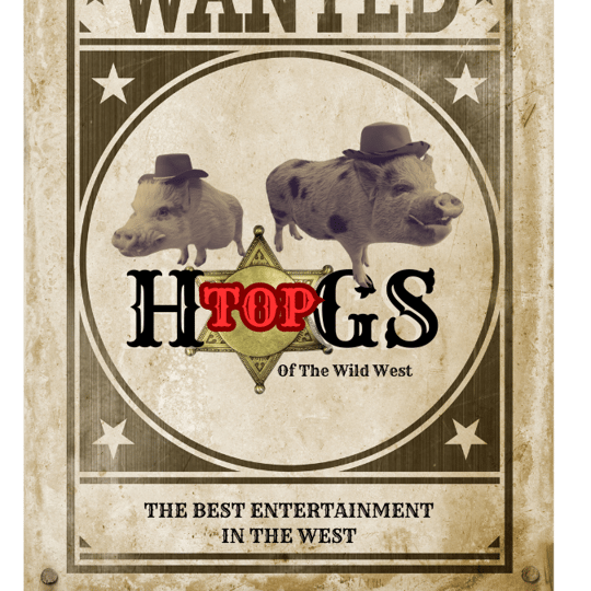 Top Hogs - Animal Entertainment in Franktown, CO