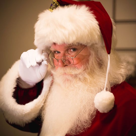 The Sleigh Rider - Santa Claus / Storyteller in White Plains, NY