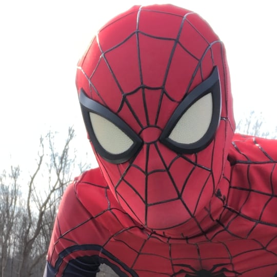The Unbeatable Spider-Man! - Actor / Actors and Actresses in Rosedale, IN
