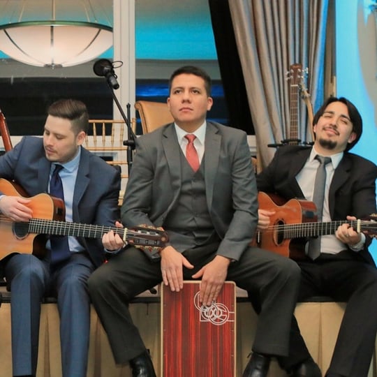 The Herreras - Guitarist in New York City, NY