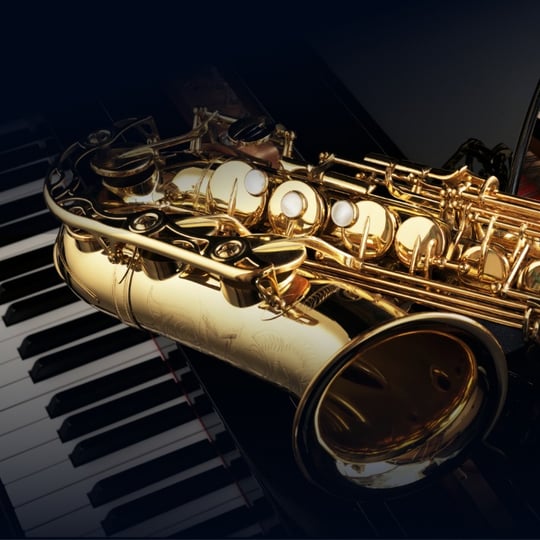 Jessesax - Saxophone Player / Wedding Musicians in Eustis, NE