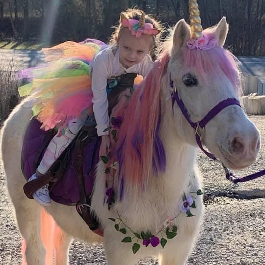 Thunder run - Pony Party / Children’s Party Entertainment in Coxs Creek, KY