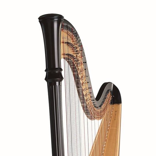 MarkOHarps - Harpist in Arlington, VA