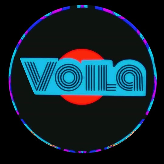 Voila - Multi-Instrumentalist in New York City, NY