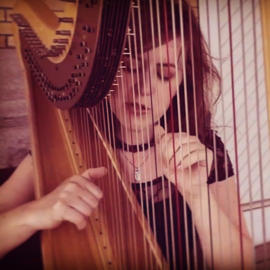 Mystical Harp - Harpist in Muncie, IN