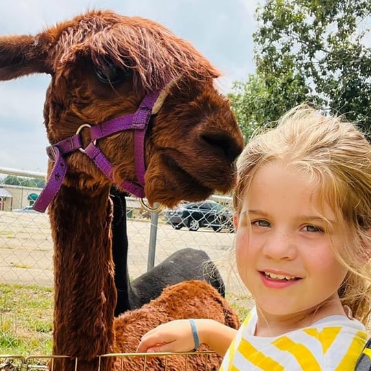 ZUBER - Mobile Petting Zoo - Petting Zoo in Campobello, SC