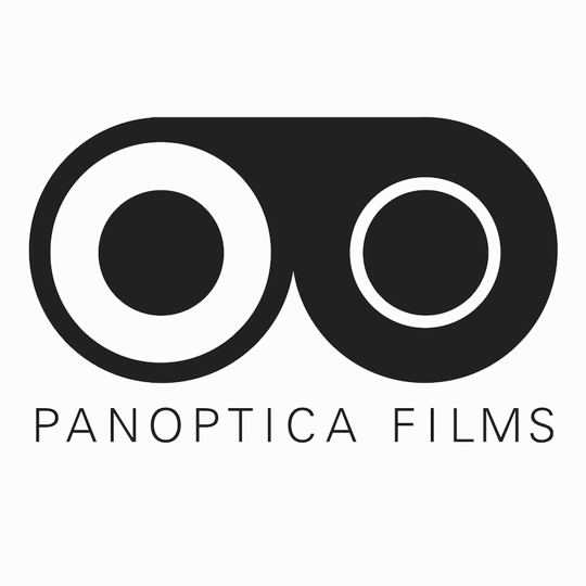 Panoptica Films - Video Services in New York City, NY