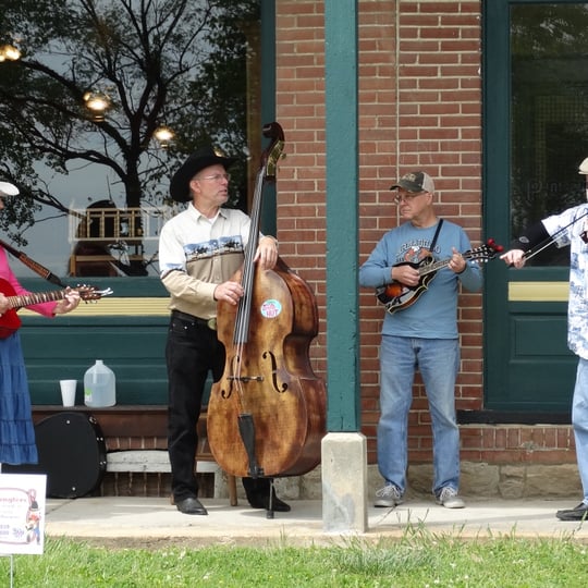 Rowdy Wranglers String Band - Bluegrass Band in Villa Ridge, MO