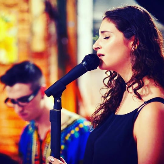 Mel & Matt Music - Wedding Singer / Wedding Entertainment in Jersey City, NJ